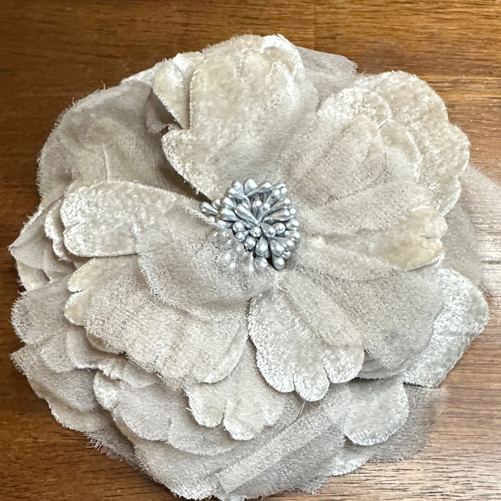 LOFT Cream Floral Brooch with Silver Accent